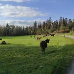 W Maruszynie Bauernhof *