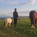 W Maruszynie Farm stay *