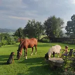 Farm stay W Maruszynie Maruszyna