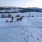 W Maruszynie Bauernhof *