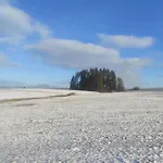 W Maruszynie * Maruszyna