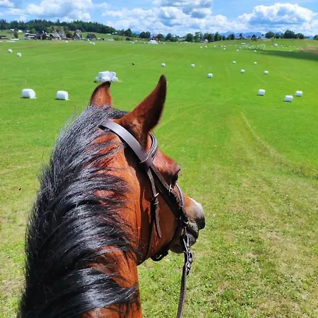 W Maruszynie * Maruszyna