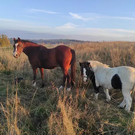 W Maruszynie * Maruszyna