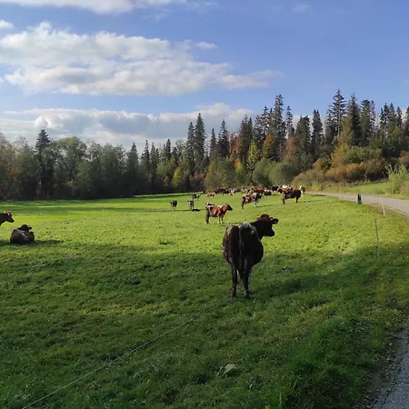 W Maruszynie Séjour à la ferme *