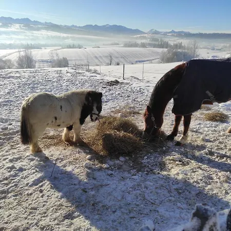 Séjour à la ferme W Maruszynie Maruszyna