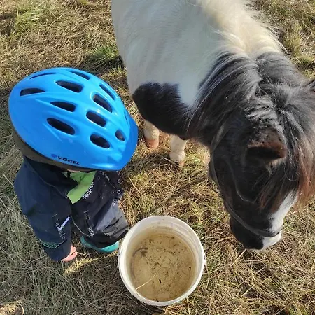W Maruszynie Feriegård Maruszyna