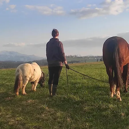 W Maruszynie Feriegård *