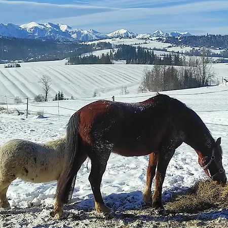 Feriegård W Maruszynie Maruszyna