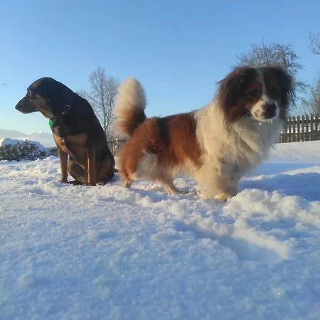 W Maruszynie Maruszyna