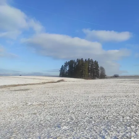 W Maruszynie * Maruszyna