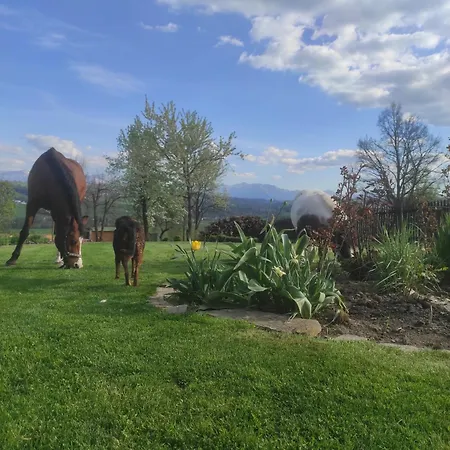 W Maruszynie Feriegård Maruszyna