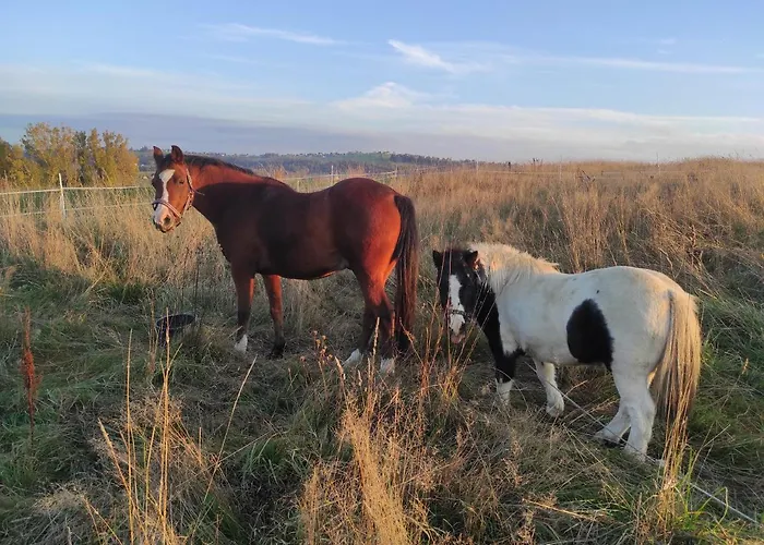 W Maruszynie * Maruszyna