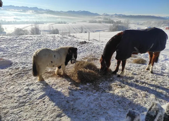Bauernhof W Maruszynie Maruszyna