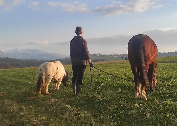 W Maruszynie Bauernhof *