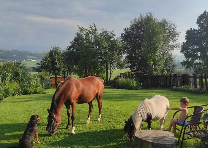 Κατάλυμα σε φάρμα W Maruszynie Maruszyna