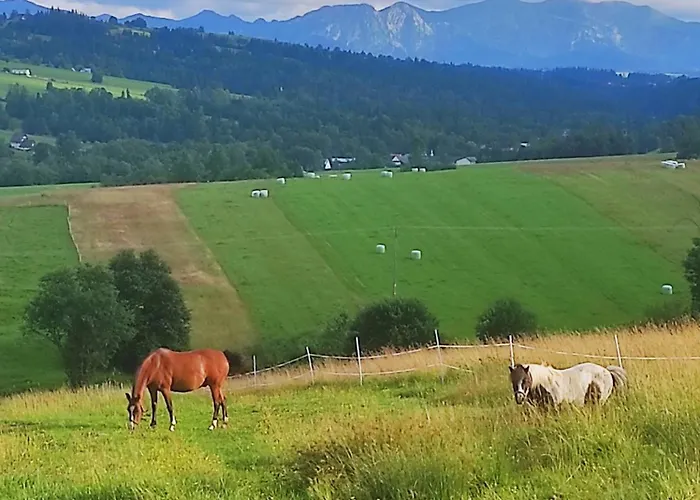 Bauernhof W Maruszynie Maruszyna